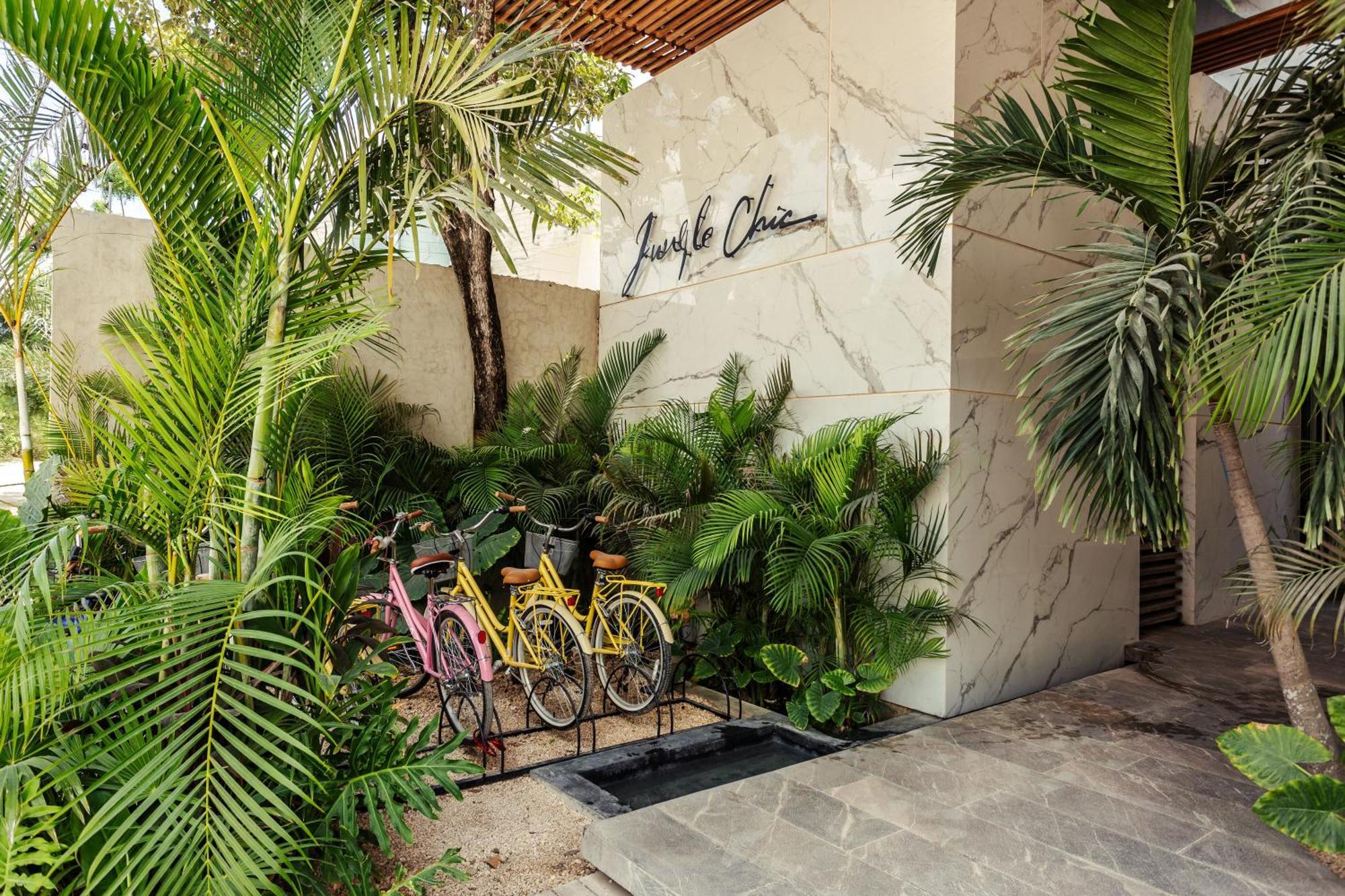 Jungle Treasure In Apartment