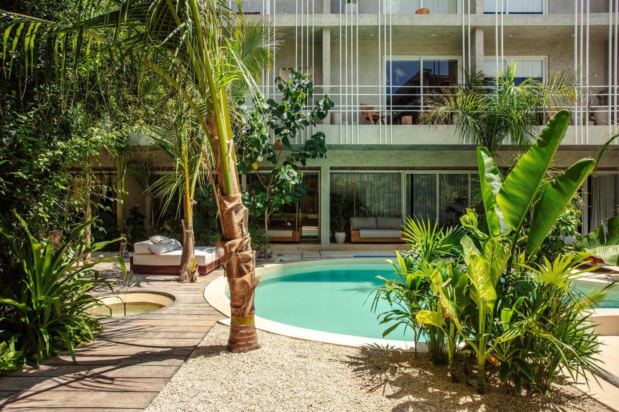 Apartment Jungle Treasure In