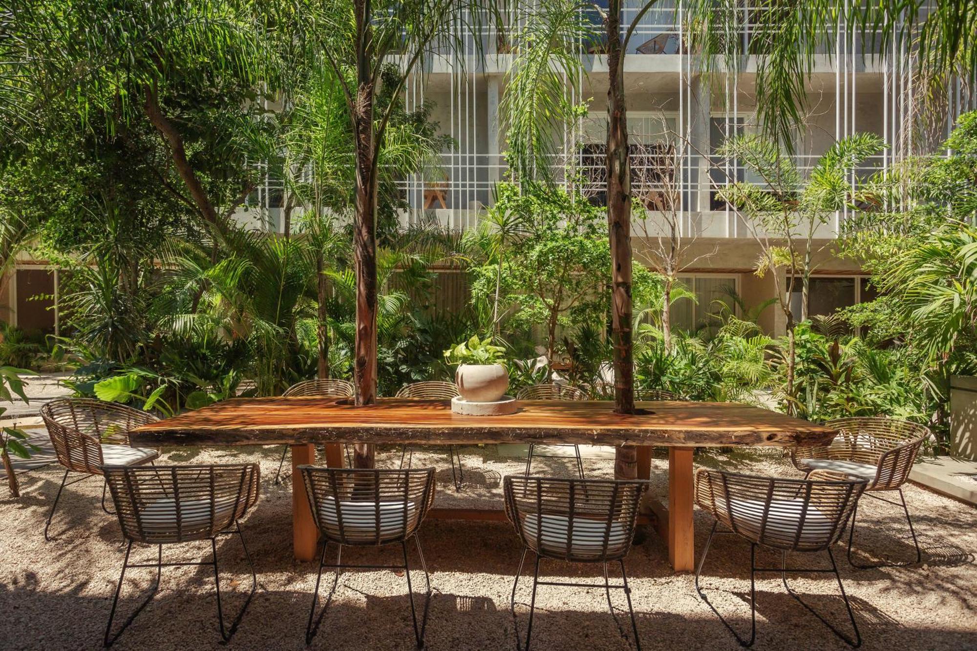 Apartment Jungle Treasure In Tulum