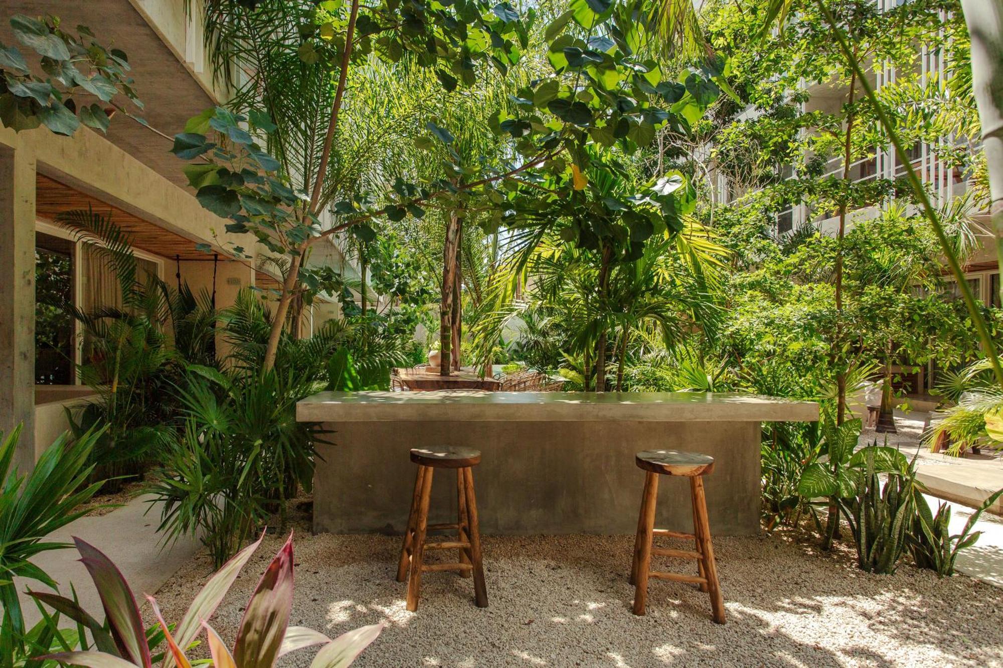 Apartment Jungle Treasure In