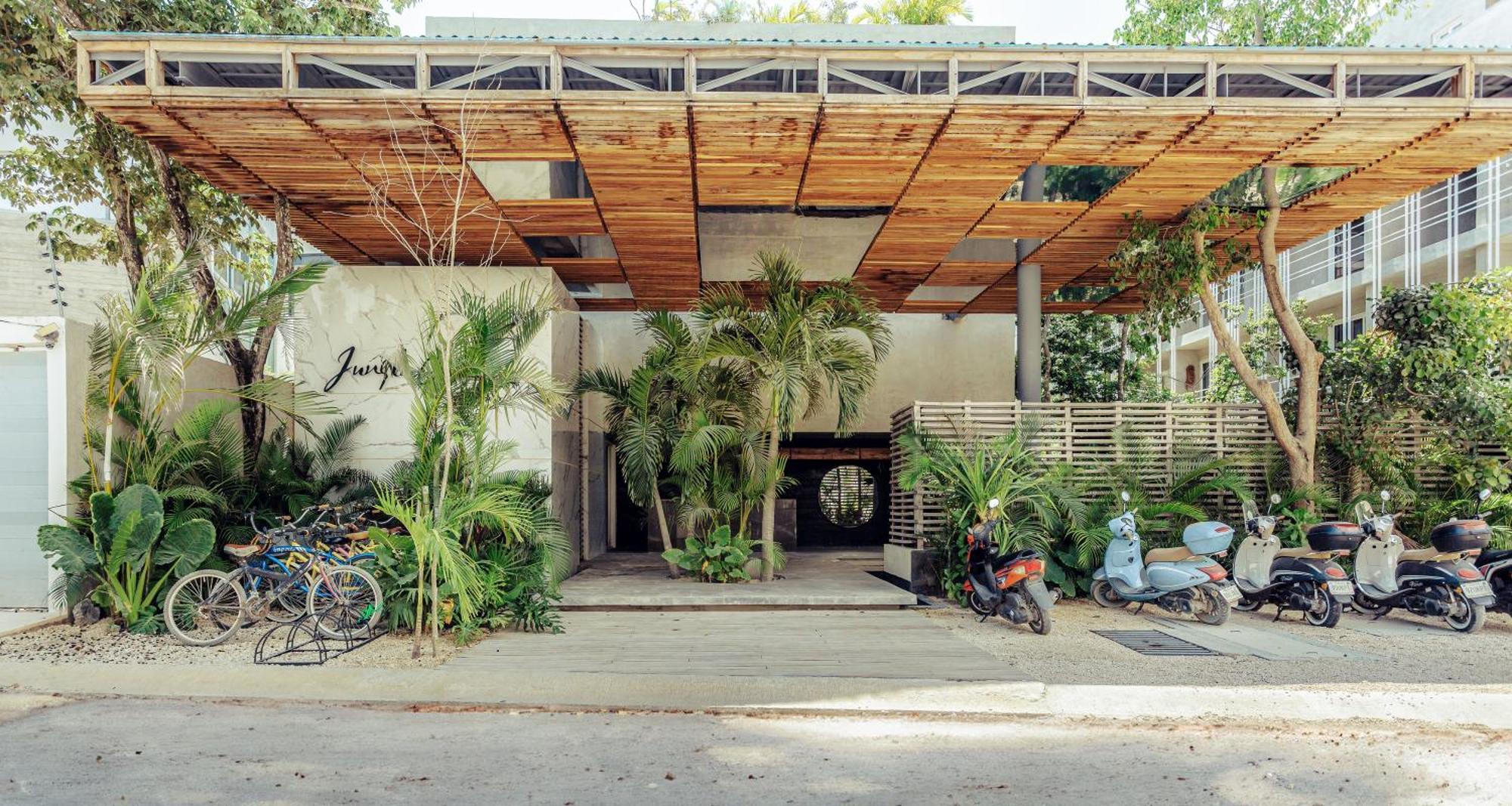 Jungle Treasure In Appartement *
