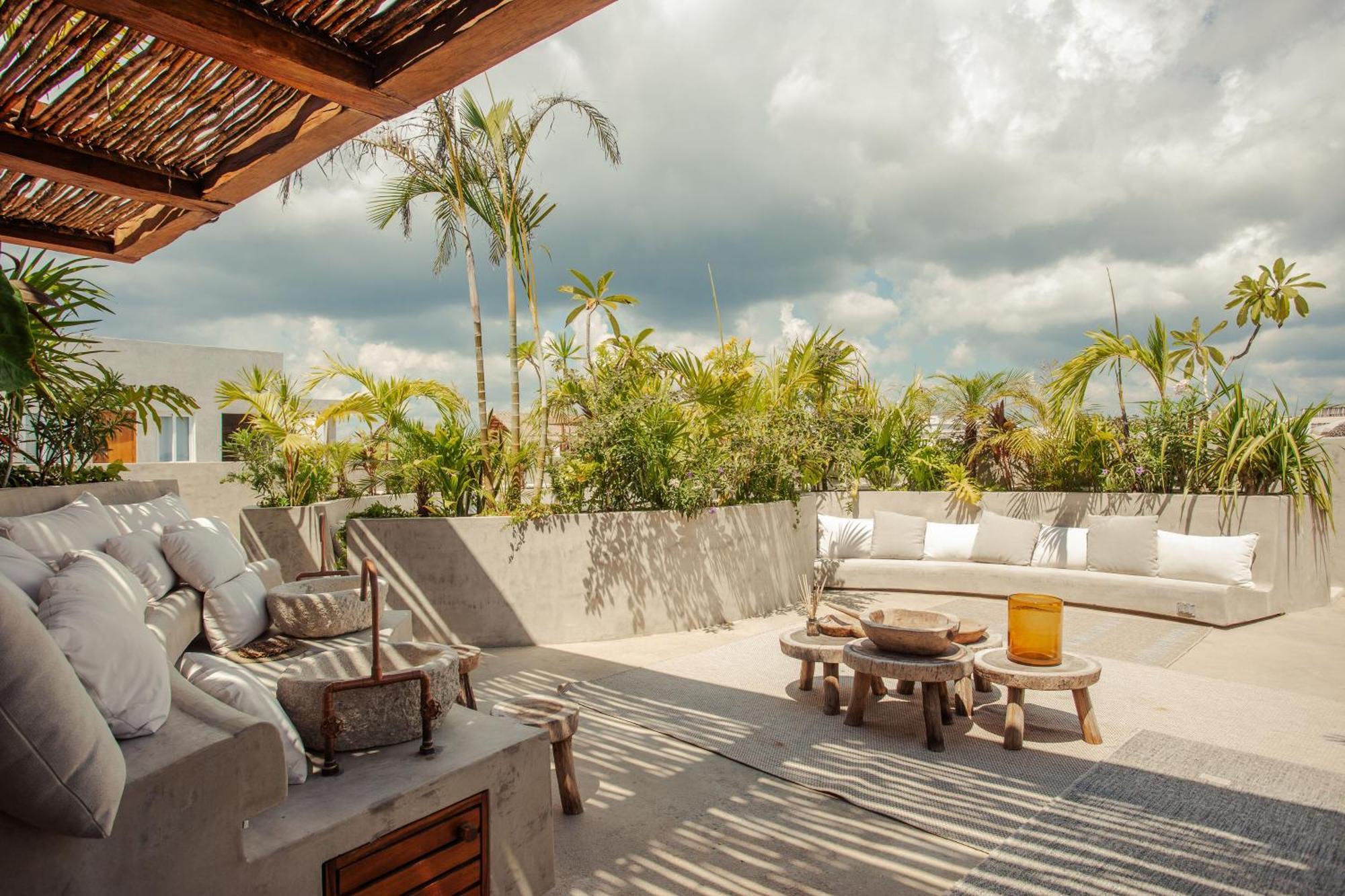 Appartement Jungle Treasure In *